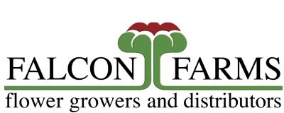 FALCONFARMS  DE ECUADOR S.A. FINCA AZAMA