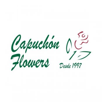 CAPUCHON FLOWERS ESPECIALISTAS EN EMPAQUES PARA FLORES CAPUCHONFLOWERS CIA. LTDA.