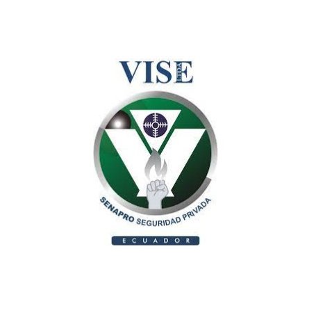 vise_logo_2023_grid.jpg