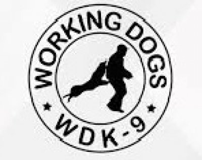 PERROS DE TRABAJO PEDEWORK CIA.LTDA.