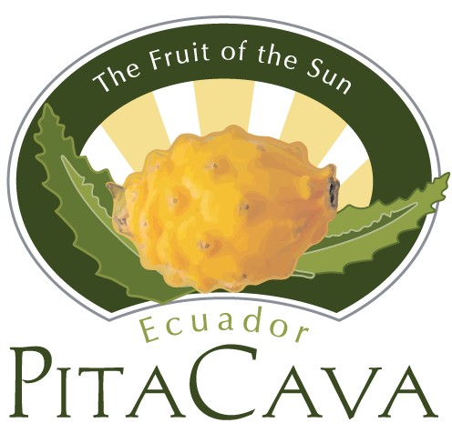 logo_pitacava